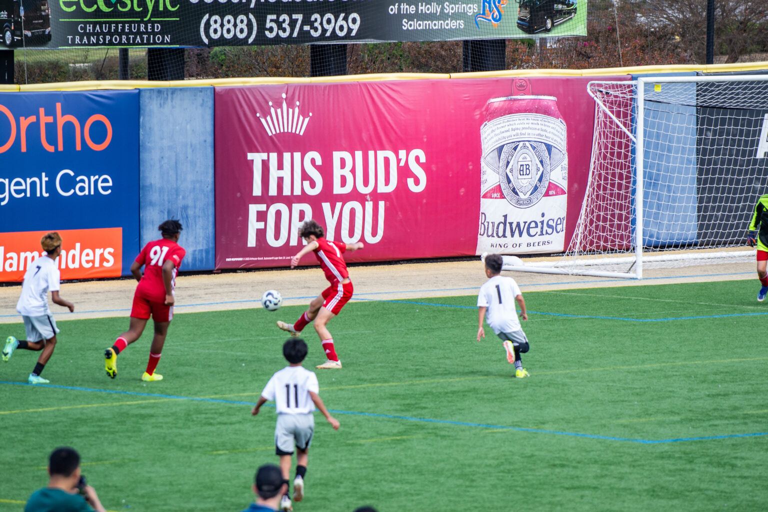 2024-11-02 at 11-56-57 -  x_.jpg