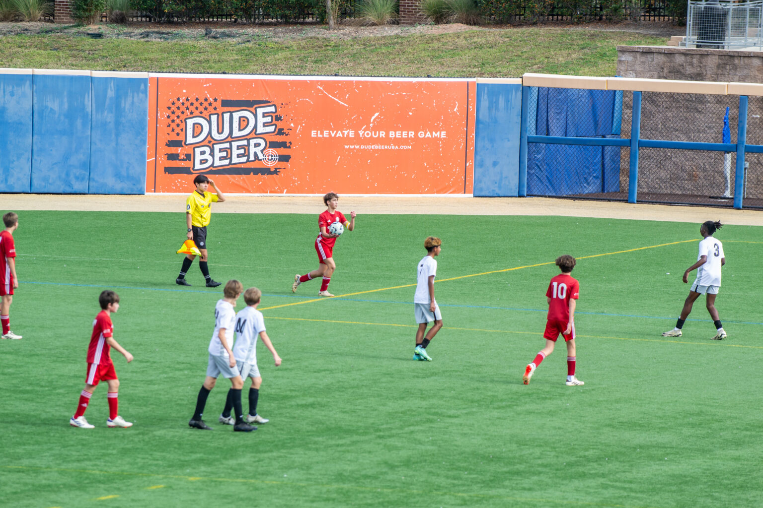 2024-11-02 at 12-15-34 -  x_.jpg