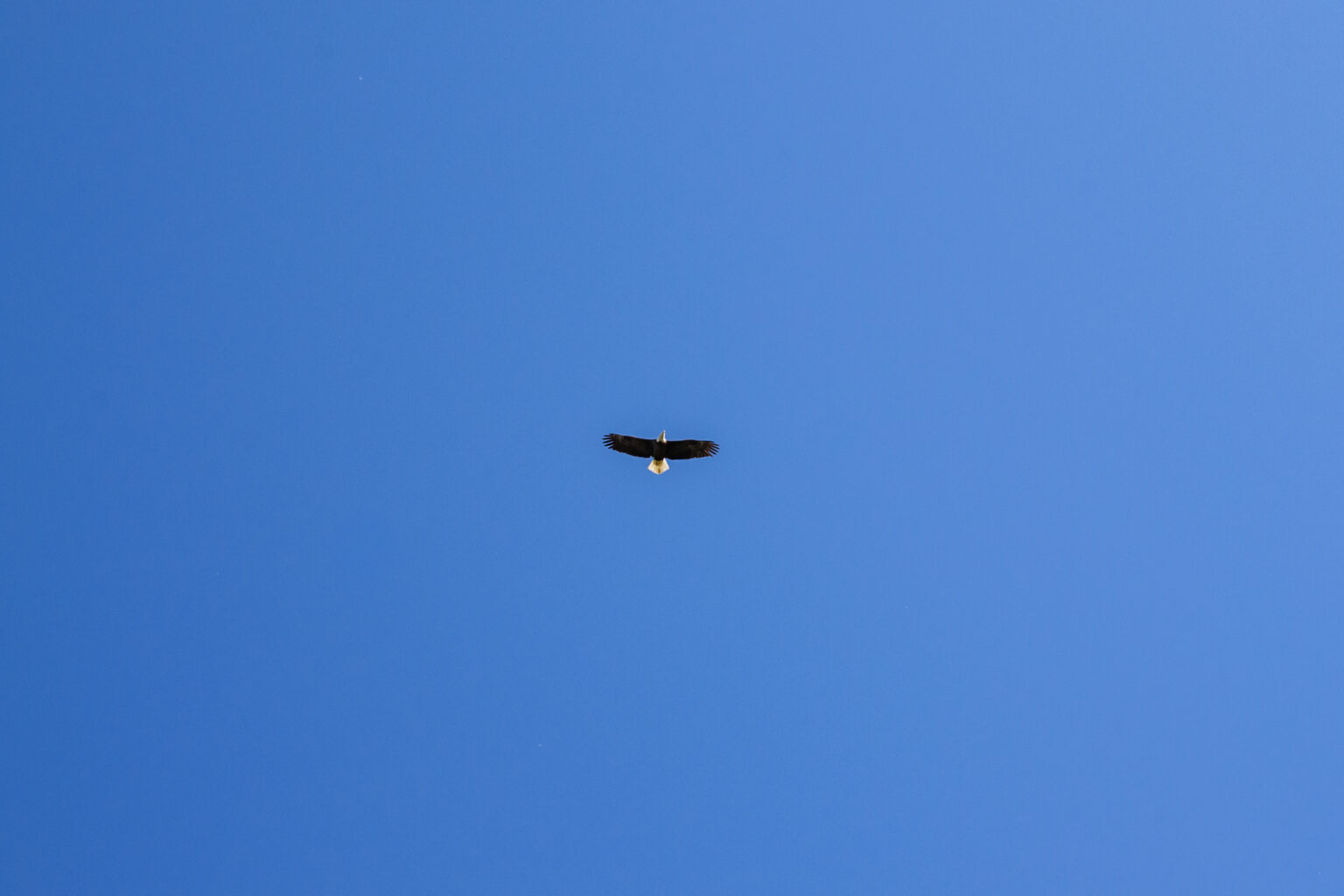 2024-11-03 at 14-22-48 - 4608 x 3072.jpg